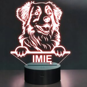 Lampka Nocna LED Retriever z Nowej Szkocji Rasa Psa z Imieniem na Prezent