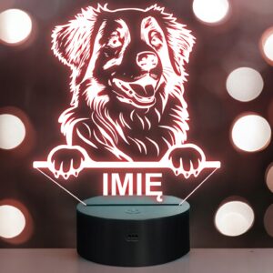Lampka Nocna LED Retriever z Nowej Szkocji Rasa Psa z Imieniem na Prezent