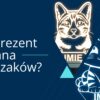Jaki prezent dla miłośnika zwierząt? - Sprawdź personalizowane lampki nocne LED z imieniem!