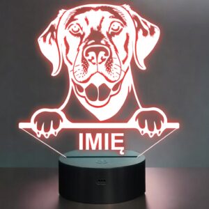 Lampka Nocna LED Golden retriever Rasa Psa z Imieniem na Prezent v.2