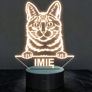 Lampka Nocna LED Dragon Li Rasa Kota z Imieniem na Prezent