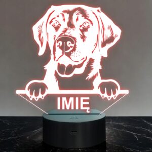 Lampka Nocna LED Labrador retriever Rasa Psa z Imieniem na Prezent v.1