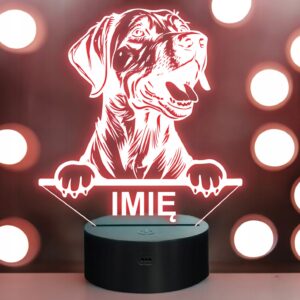 Lampka Nocna LED Rhodesian ridgeback Rasa Psa z Imieniem na Prezent